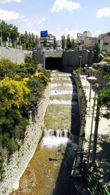 imag0232.jpg